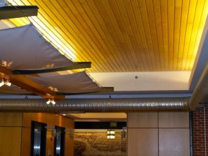 Maple lumber tongue and groove ceiling
