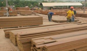 Brazilian Lumber Mill