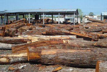 mahogany lumber importing