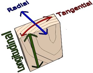 Radial shrinkage tangential shrinkage with wood