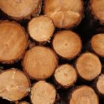 Lumber Production Trends