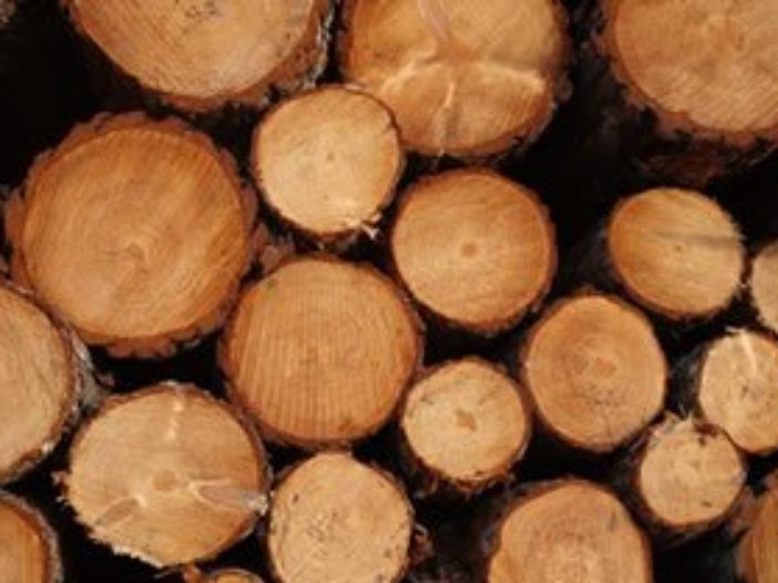 Lumber Production Trends