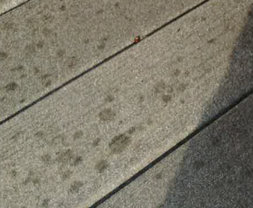 Composite Decking Problems are Accentuated with Boardwalks