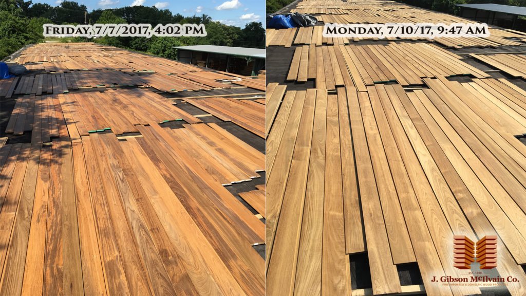 teak sunning color change