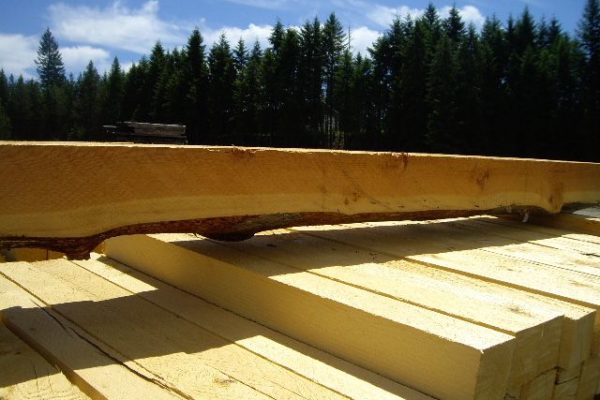 softwood grades douglas fir