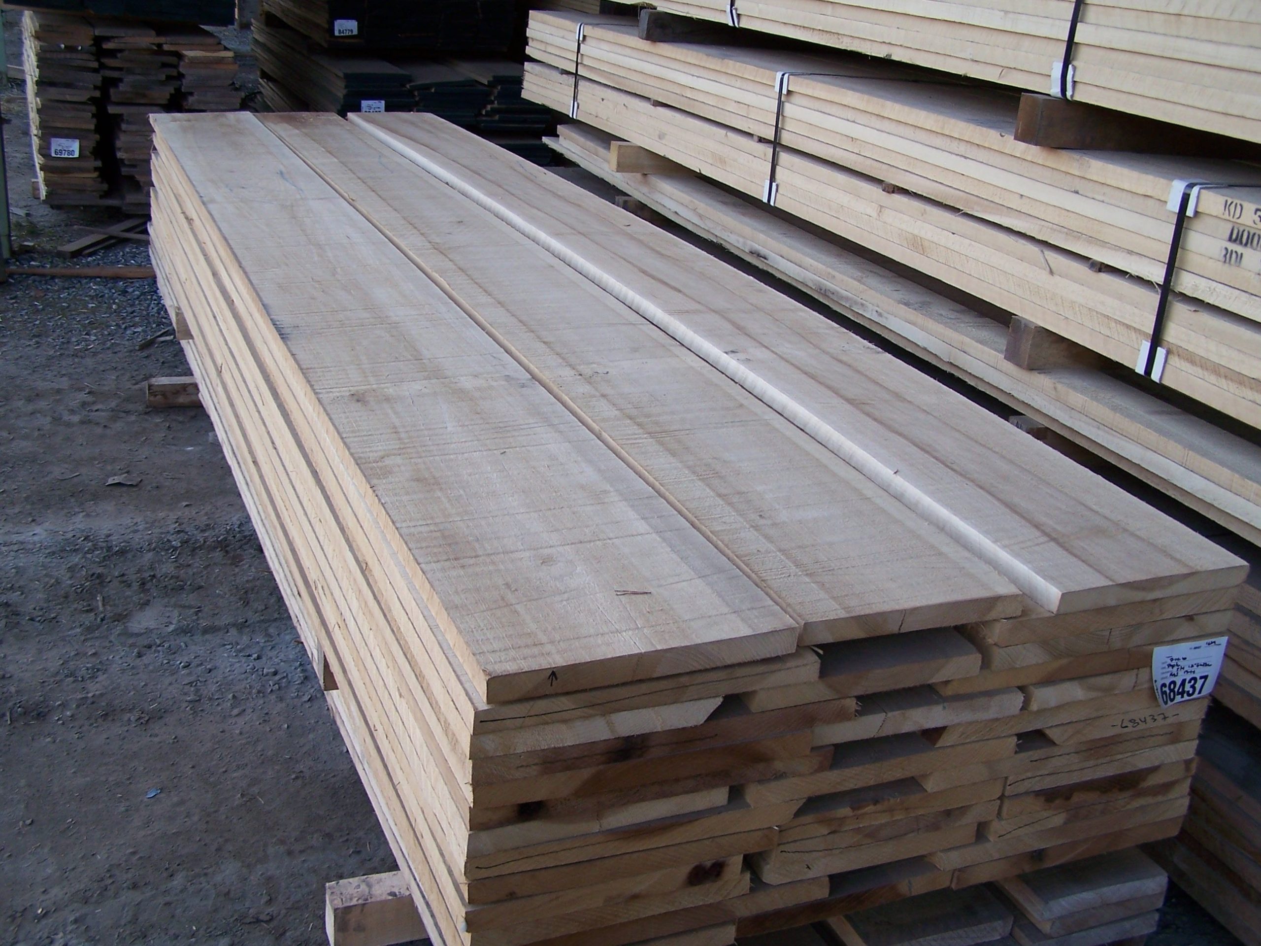 Poplar Lumber - Wholesale Suppliers - Buy Poplar Wood