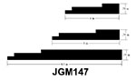 JGM147_thumb.jpg