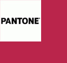 Pantone Viva Magenta color of the year