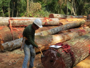 Ipe sourcing