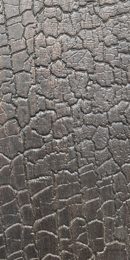 Shou Sugi Ban Gator Scale