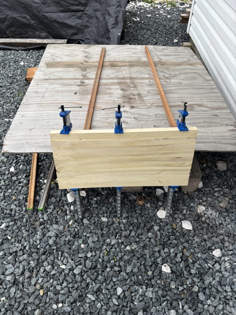 CVG Poplar boards glued and clamped together